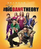 The Big Bang Theory season 9 /    9 